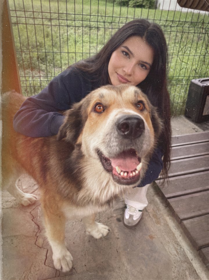 Dog, a big fluffy brown, black and cream dog with a wide grin, hugged by his person